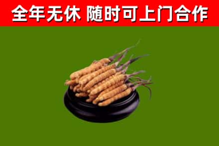 殷都区烟酒回收冬虫夏草.jpg